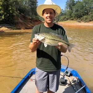 Meet your Posher, Bobby